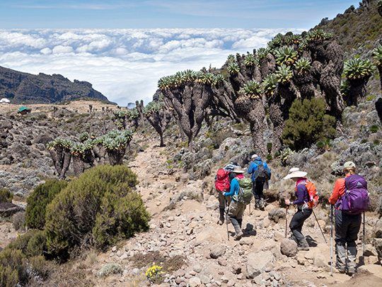Machame Route